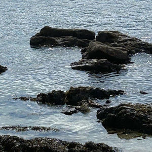 Meet your Posher, Kelli